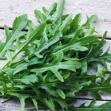 Rucola